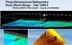 Isometric view of 3D point cloud data generated by acoustic scans over an historic sunken barge. Inset also includes a side scan sonar view. (Image courtesy of Guy Meadows/Michigan Technological University)