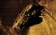 KATFISH 2 cm by 2 cm resolution synthetic aperture sonar imagery of the Governor Cornwallis shipwreck (Credit: Kraken Robotics)