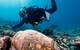 Dr. Kelly Gleason investigates a ginger jar at the Two Brothers shipwreck site (Credit: NOAA)