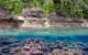 ©Khaled bin Sultan Living Oceans Foundation/Ken Marks