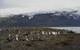 King penguins on Heard Island (Photo: Stephen Brown)