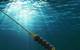 TFI Marine SeaSpring. © TFI Marine