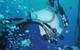 A Chet Morrison diver works on a subsea project.