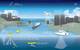 NOAA's National Ocean Service turns data into user-friendly information with a suite of coastal intelligence products and tools that support the 45 percent of our nation's economy that originates in coastal watershed counties - more than $6.6 trillion in GDP. (Credit: NOAA)