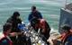 Observations from NOAA's Maritime Heritage program's diving team confirmed the identity of the Walker wreck. (Credit: NOAA)