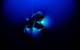 AUV Orpheus operating underwater. Image by Marine Imaging Technologies, LLC, copyright Woods Hole Oceanographic Institution