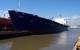El Faro (File photo: Tote)