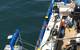 (Photo: Briggs Marine Contractors)