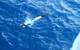 Photo courtesy of OceanServer Technology, Inc.
