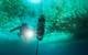 (Photo: Erwan AMICE ©CNRS)