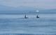 Photo: Port Metro Vancouver