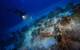 (Photo by Vasilis Mentogianis / RPM Nautical Foundation)
