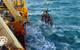 Photos courtesy of  FUGRO