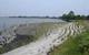 Pivers Island Living Shoreline adjacent to Duke University Marine Lab. This is an example of the hybrid, or marsh-sill approach, and includes an offshore sill constructed from granite, with salt marsh plants established landward of the sill. (Credit: NOAA)