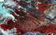 Bull kelp plants are revealed in bright scarlet, other seaweeds (fleshy red algae and coralline) are light pink and mussel patches are distinguished by dark brown or black shadows. ©NIWA