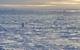 Residents of Utqiagvik return by snowmachine from the lead at the edge of the shore-fast ice. Photo by Andy Mahoney, UAF Geophysical Institute