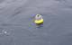 RockBLOCK has been integrated on specially developed wave buoys deployed on to sea ice floes in the Arctic and Antarctic by NIWA. (Photo: Rock Seven)