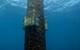 © Saitec Offshore Technologies