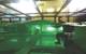 Full scale testing at the SUSTAIN wave-tank facility at the University of Miami, RSMAS. (Photo: GreenWave Instruments LLC)