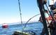 Scientists recover an ROV during fish surveys offshore the California coast (Photo by Ann Bull, BOEM)