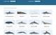 Screenshot of the homepage for the Watkins Marine Mammal Sound Database. (Image: WHOI)