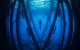 A scuba diver investigates the marine life harbored beneath an oil rig off the coast of California. (Photo: Kyle McBurnie)