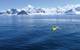 The Slocum Glider  from Teledyne Webb.