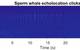 Spectrogram showing sperm whale echolocation clicks, spaced at intervals of approximately one second, collected with a submarine glider operated by University of East Anglia (Image: NOC)