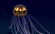 This stunningly beautiful jellyfish was seen in the Marianas Trench Marine National Monument while exploring the informally named “Enigma Seamount” at a depth of about 3,700 meters. Scientists identified this hydromedusa as belonging to the genus Crossota. (Credit: NOAA)