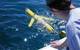 Teledyne Webb Glider
