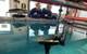 © Teledyne Marine/David Evans and Associates