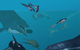 These marine tetrapods represent a diverse group of living and extinct species of mammals, reptiles, amphibians and birds that all play—or played—a critical role as large ocean predators in marine ecosystems. (Artwork by Karen Carr)