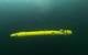 Underwater view of the AUV DeepLeng diving in the frozen lake Torneträsk during the Abisko field trials of the project EurEx-LUNa. © DFKI