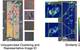 Unsupervised clustering and representative image identification and a similarity query. Image: Sonardyne

