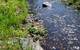 View upstream after Partridge Creek Phase One restoration (Photo: EPA)