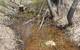View upstream before Partridge Creek Phase One restoration (Photo: EPA)