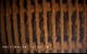 Video frame grabs provided by the Phantom T4H ROV (Photo: Deep Ocean Engineering)