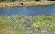 White Lake Causeway after restoration shows healthy wildlife and new recreational opportunities. (Photo: EPA)