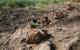 The White Lake Montague Dump site restoration was littered with rusty barrels, tires and other debris. (Photo: EPA)