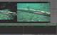 Whitecap’s underwater cameras create side-by-side, three-dimensional images.