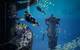 The $4m Wonder Reef off of Australia’s Gold Coast aims to attract divers from around the world.
Images courtesy Subcon Blue Solutions/Wonder Reef